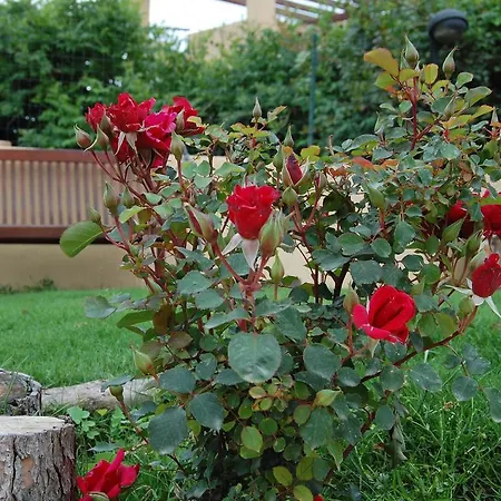 I Lentischi Villasimius