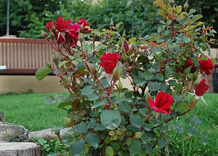 I Lentischi Villasimius